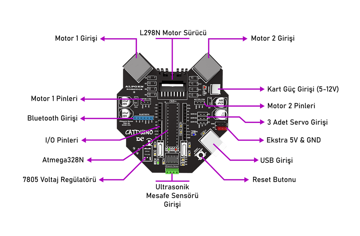 19435 - 3-min.png (98 KB)