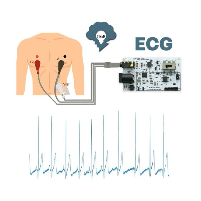 EMG EOG EKG Sensor Card (Muscle, Eye and Heart Signals Detection) - 3