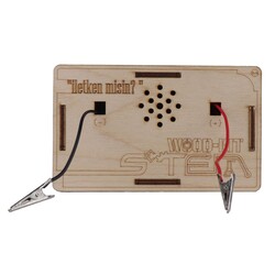 Wood-Kit STEM Robotic Coding - Are you a conductor? - 2